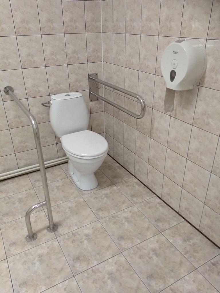 Toaleta wraz z uchwytami ułatwiającymi wykonanie czynności higienicznych osobom poruszającym się na wózku.
